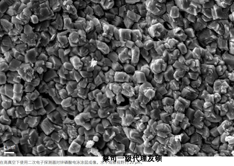 资阳蔡司资阳扫描电镜