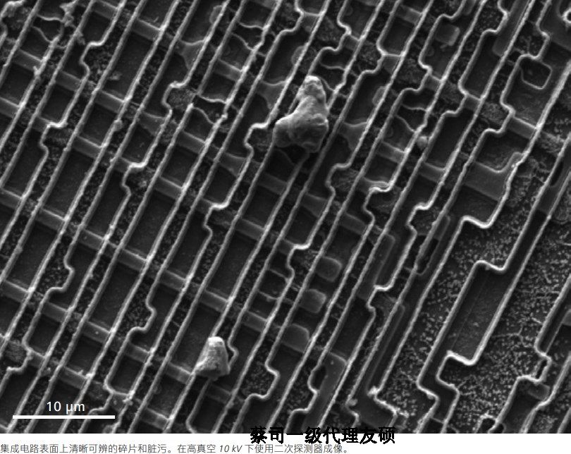 资阳蔡司资阳扫描电镜EVO