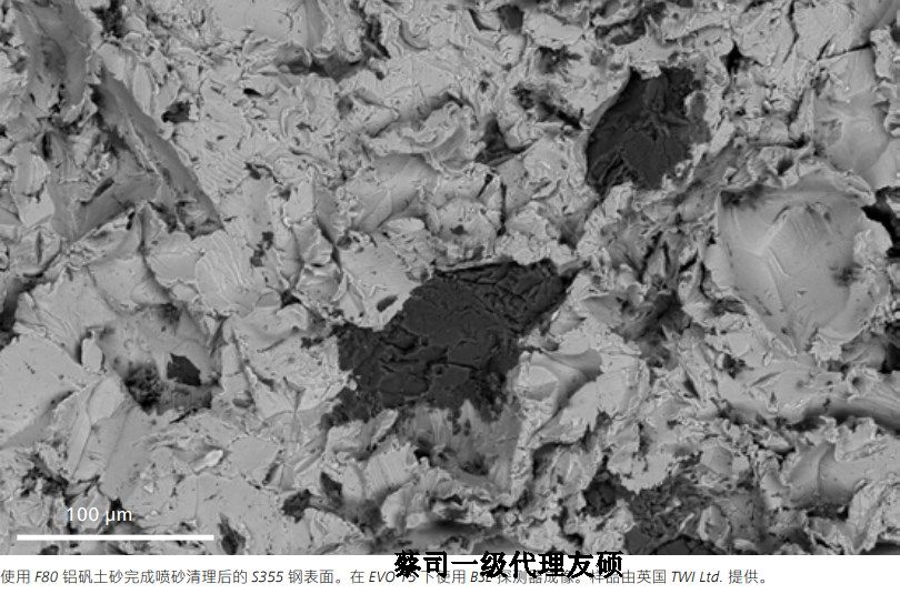 资阳蔡司资阳扫描电镜EVO