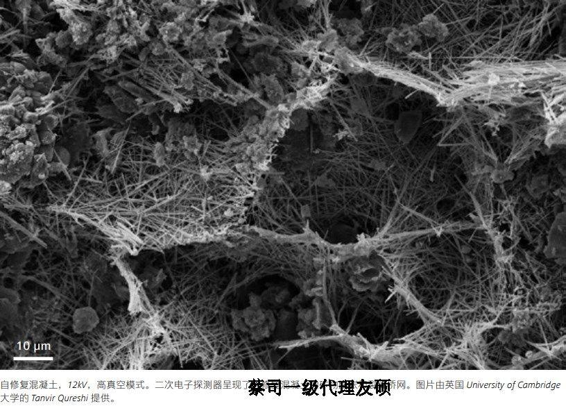 资阳蔡司资阳扫描电镜