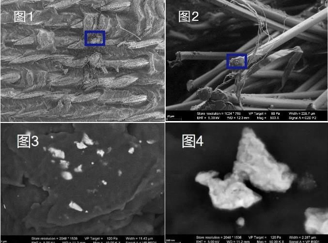 资阳蔡司资阳扫描电镜