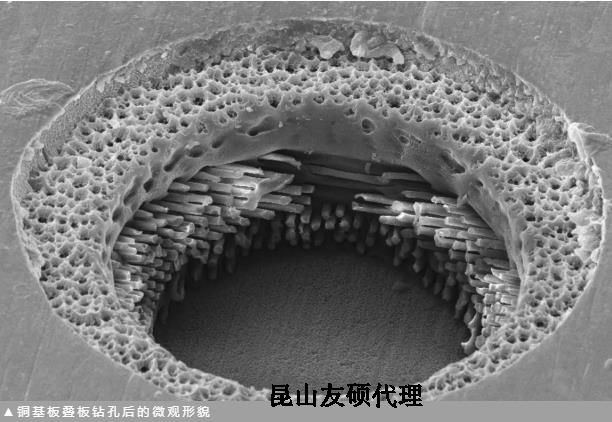 资阳蔡司资阳扫描电镜